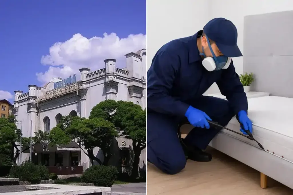 Likvidácia ploštíc Vrútky - diskrétna dezinsekcia za dobrú cenu