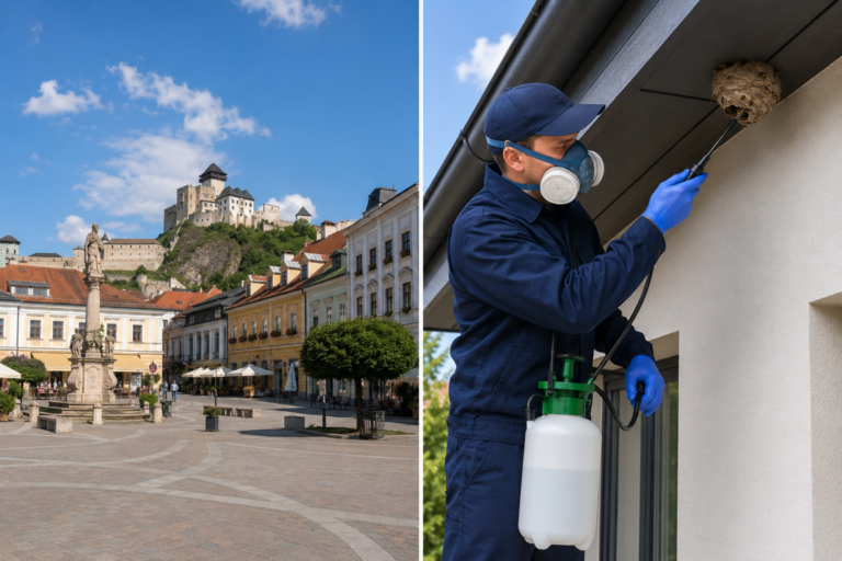 Likvidácia ôs a sršňov - Trnava. Odstránenie osieho hniezda - Nonstop 24/7 - DDD365